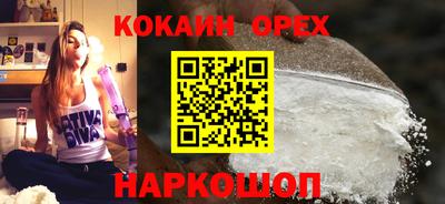 Альфа ПВП Малгобек