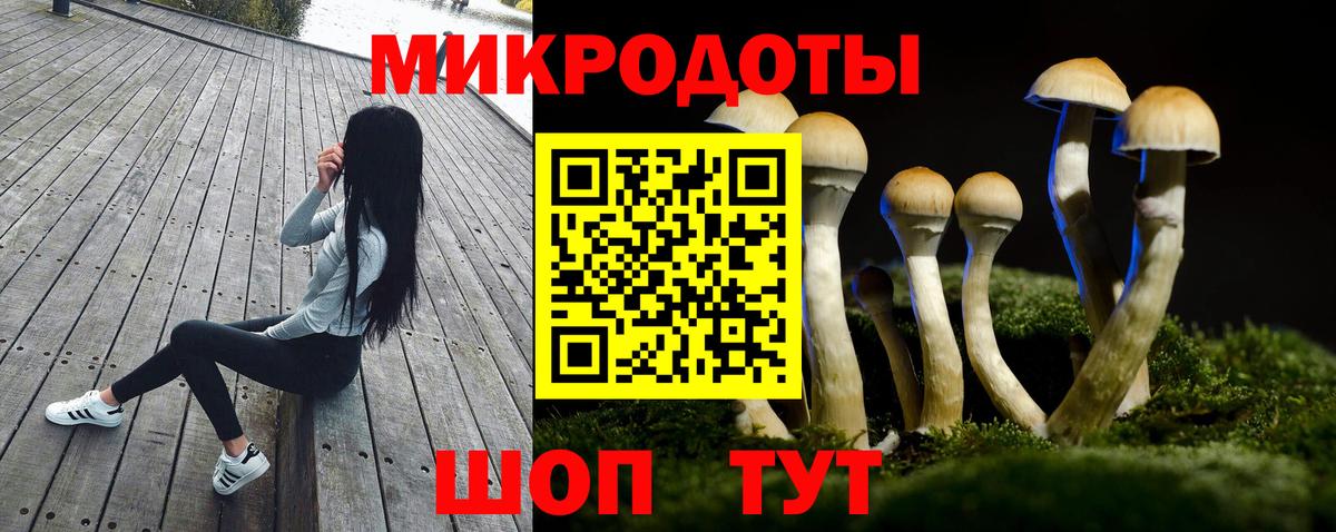 Псилоцибиновые грибы мухоморы  закладки  Горно-Алтайск  Вход с VPN 